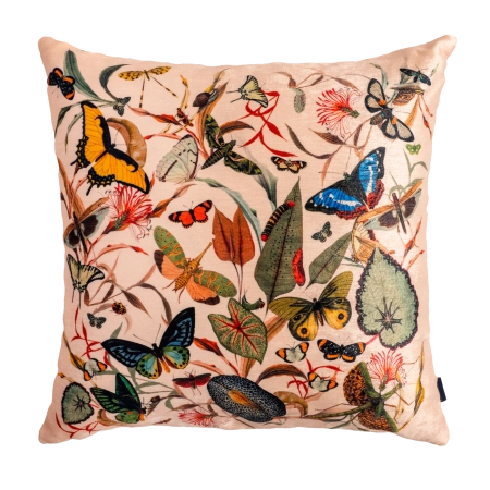 Cojin Ivory Butterfly